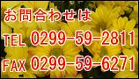 TEL0299-59-3477 FAX0299-59-6271